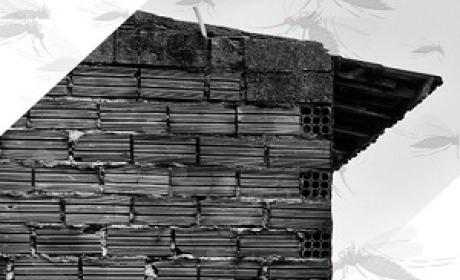 Arte: InfoDengue Parte de uma parede externa de uma casa feita de tijolos