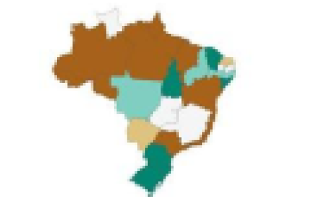Imagem: divulgação Mapa do Brasil