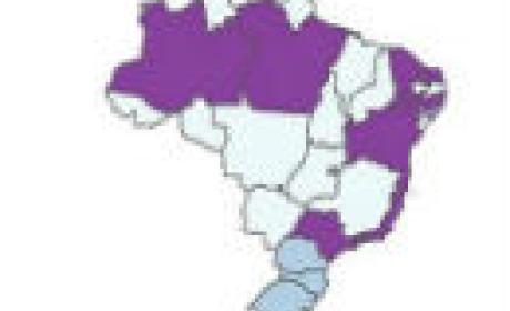 Imagem: InfoGripe Mapa do Brasil