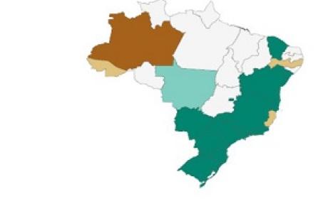 Imagem: InfoGripe Mapa do Brasil