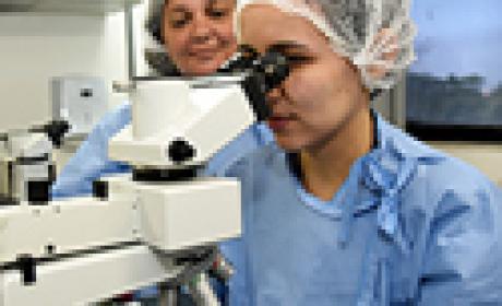 Foto da pesquisadora Juliana de Meis olhando em um microscópio
