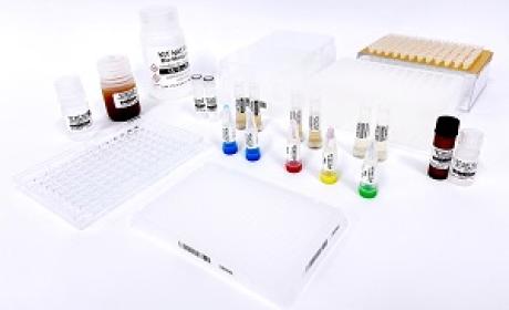 Kit Nat Plus