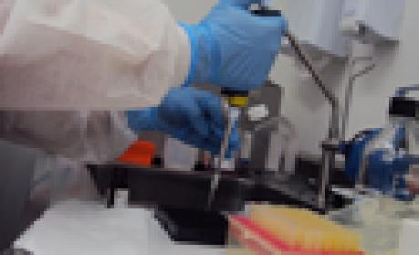Laboratório de alta complexidade fará diagnósticos mais rápidos e precisos. Fotos: IFF Imagem de mãos manipulando material de laboratório