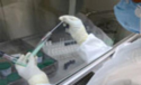 Foto: Acervo Ensp / Fiocruz Detalhe de pesquisador em laboratório