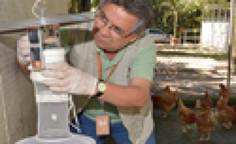 Foto: Gutemberg Brito/ Instituto Oswaldo Cruz Pesquisador instala armadilha