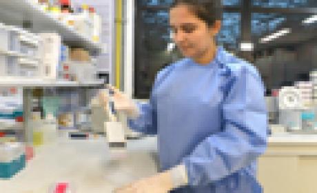 Substâncias promissoras para tratamento de câncer comum em crianças são reveladas por cientistas do IOC e da UFF (Foto: Gutemberg Brito) Imagem de pesquisadora trabalhando no laboratório