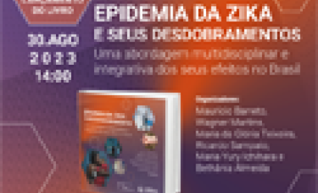 Imagem: Cidacs Epidemia da zika e seus desdobramentos
