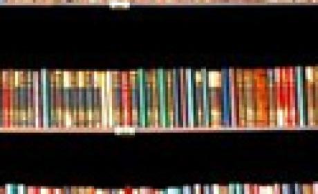 Foto: Peter Illiciev Livros na estante