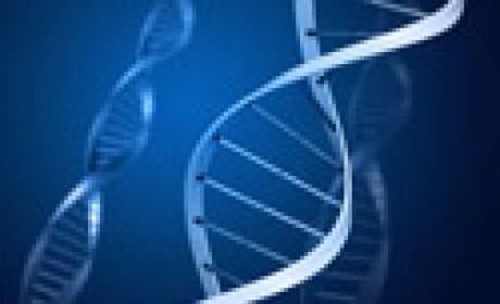 Imagem: Site de fotos gratuitas rgbstock.com Estrutura do DNA