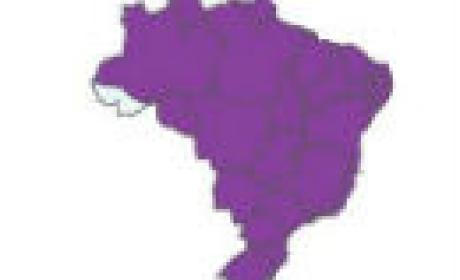 Dados podem ser acessados no boletim semanal do sistema InfoGripe (Imagem: divulgação) Mapa do Brasil