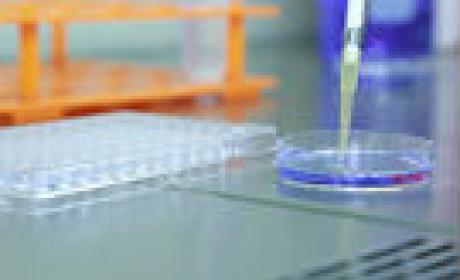 Imagem: IOC Comprimidos do medicamento