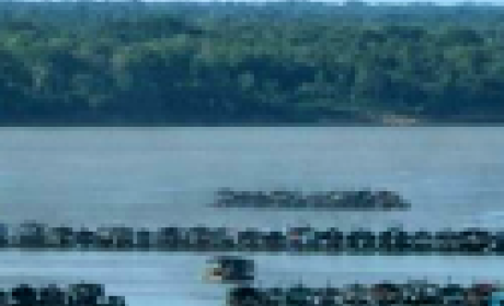 Imagem: recorte da capa do documento Leito de um rio na região Amazônica com exploração de mercúrio
