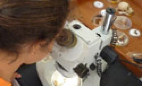 Foto: Museu da Vida/Fiocruz Menina observa ao microscópio
