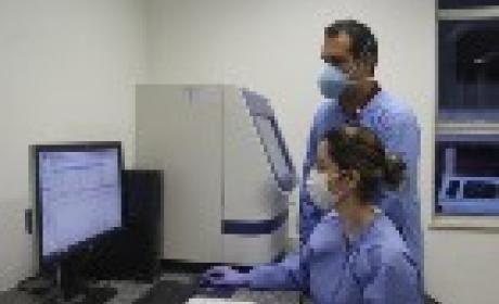 Foto: Fiocruz Pernambuco Pesquisadores trabalhando