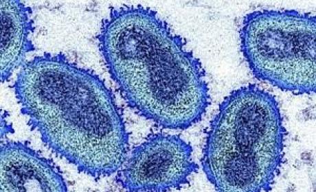 Image: CDC
