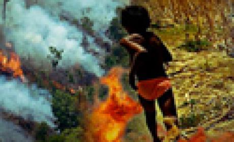Imagem: Icict Criança correndo do lado do fogo em um gramado