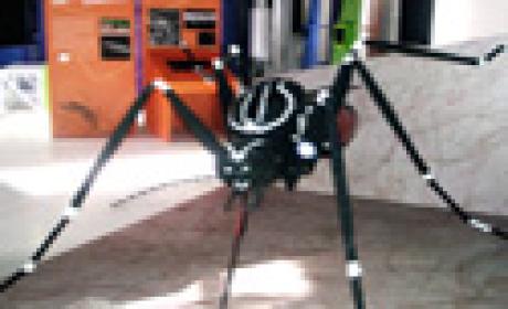 Parte da mostra traz o mosquiso 'Aedes aegypti', esculpido por Ricardo Fernandes (Foto: Acervo AFN) Parte da mostra traz o mosquiso 'Aedes aegypti', esculpido por Ricardo Fernandes