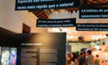 Foto: Luanda Lima / Museu da Vida Parte da exposição 'Nós do mundo'