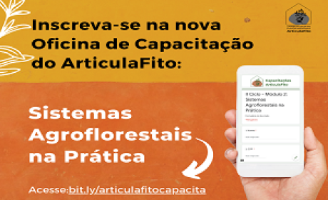 Imagem: Divulgação
