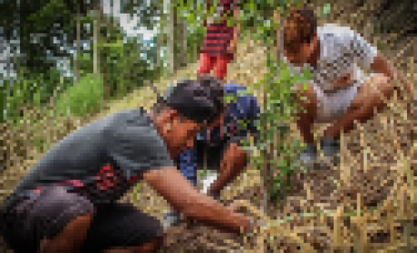 Foto: Eduardo Napoli Crianças observam um homem cuidando da terra