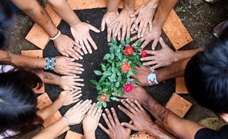Imagem: OTSS/Fiocruz Várias pessoas plantando