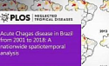 Imagem: Divulgação Imagem: Divulgação