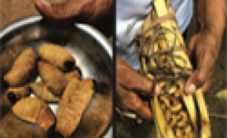 Imagem: Ensp Sementes em um pote