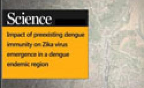 Imagem: Fiocruz Bahia Capa da revista Science