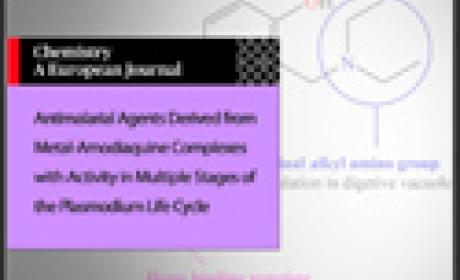Imagem: divulgação Antimalarial Agents Derived from Metal-Amodiaquine Complexes with Activity in Multiple Stages of the Plasmodium Life Cycle