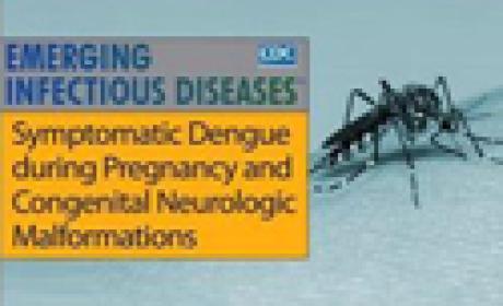 Imagem: Fiocruz Bahia Aedes aegypti ao lado da frase Symptomatic Dengue during Pregnancy and Congenital Neurologic Malformations