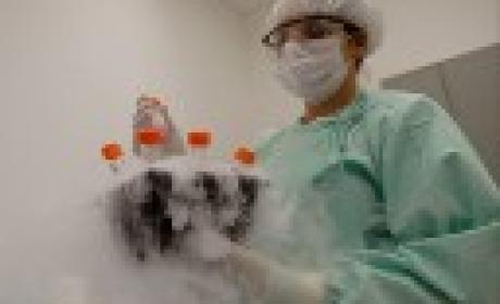 Crédito: Gutemberg Brito/IOC Médico carregando tubos de ensaio