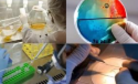 Imagem: Fiocruz Minas Mosaico mostrando pesquisadores trabalhando em quatro pesquisas diferentes