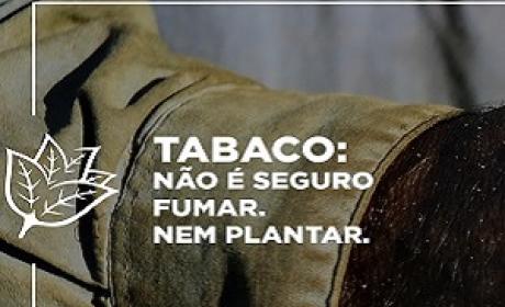 Imagem: Divulgação