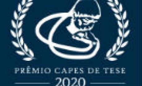 Imagem: divulgação Prêmio Capes de Teses 2020
