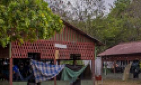 Imagem: Ensp Duas casas da aldeia indígena Yanomami em Roraima. O chão é de terra é o local cercado por árvores baixas.