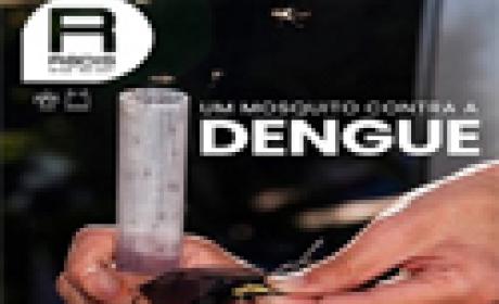 Imagem: Ensp Agente de saúde colhendo mosquitos do tipo aedes