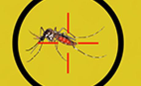 Imagem: Ensp Desenho do mosquito dentro de um alvo
