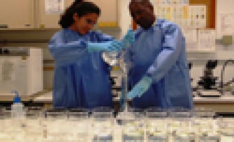 22º edição do evento será realizada em diferentes unidades da Fiocruz Foto de cientistas trabalhando