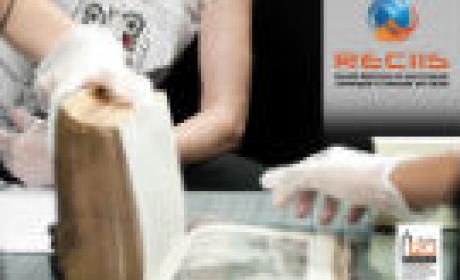 Imagem: Icict Bibliotecária scaneano um livro antigo