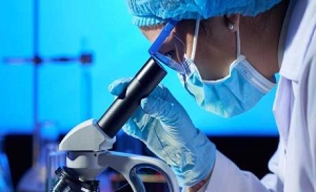 Cientista visualiza material em microscópio