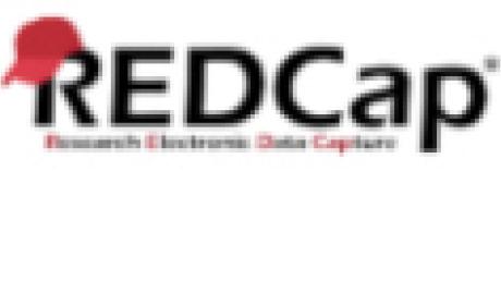 Equipe REDCap Fiocruz lança novo espaço virtual Equipe REDCap Fiocruz lança novo espaço virtual