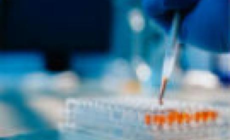 Imagem: INCQS Trabalho em laboratório