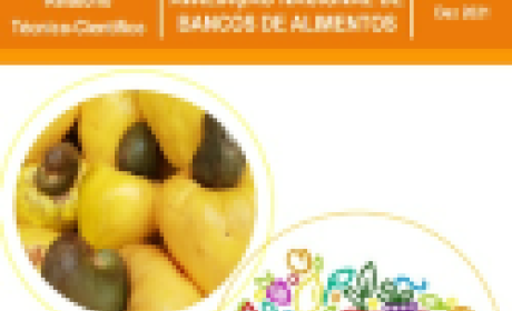 Imagem: Fiocruz Minas Capa do relatório traz uma montagem de fotos com alface, caju