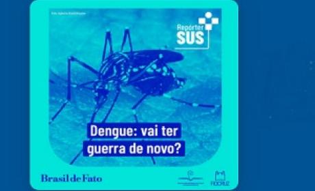 Aedes aegypti