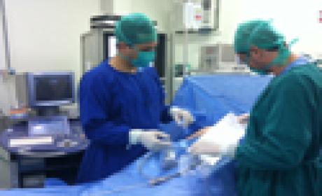 Durante o procedimento, é efetuada a identificação, via fetoscopia (Foto: Acervo IFF/Fiocruz) Médicos durante realização do procedimento via fetoscopia no IFF