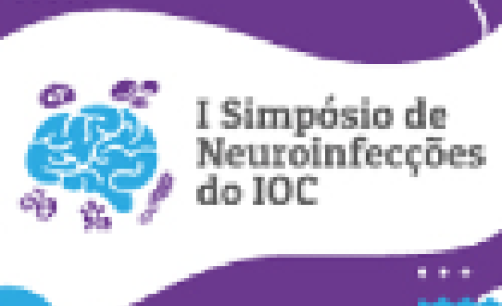 Imagem: IOC 1º Simpósio de Neuroinfecções do IOC