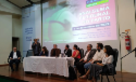 Oito palestrantes em uma das mesas no palco do seminário