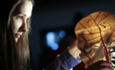 Foto: Manchester Science Festival Menina olhando um crânio iluminado feito de plástico