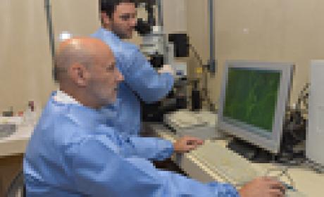 Foto: Gutemberg Brito Pesquisadores em um laboratório