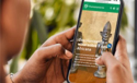 Imagem: COC Mulher vendo o site em um celular